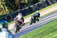 Oulton-Park-20th-March-2020;PJ-Motorsport-Photography-2020;anglesey;brands-hatch;cadwell-park;croft;donington-park;enduro-digital-images;event-digital-images;eventdigitalimages;mallory;no-limits;oulton-park;peter-wileman-photography;racing-digital-images;silverstone;snetterton;trackday-digital-images;trackday-photos;vmcc-banbury-run;welsh-2-day-enduro